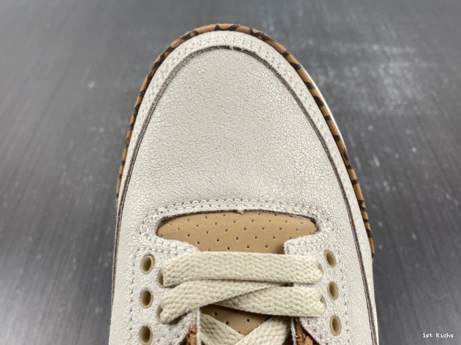 CT8532-102 Jordan Air Palomino 3 0816